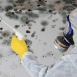 The Hidden Dangers of Mold Colonies