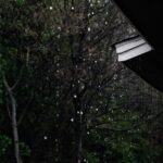 Storm Damage