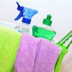Mold Removal