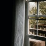Stop mold growth in your home today.