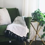 Upholstery cleaning service from Extreme Carpet Care.