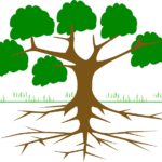 Sewage backups need the best service around with Extreme Carpet Care and Restoration.