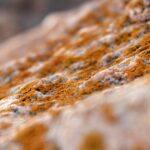 Learn more about expert mold removal.