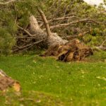 storm damage