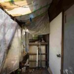 How to Restore a Flooded Home Quickly: Expert Recovery Tips