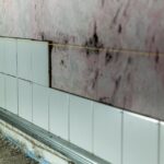 mold removal
