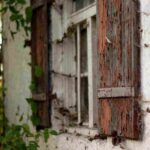 Extreme Carpet Care & Restoration