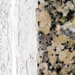 Remediate Black Mold