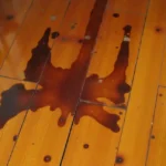 How to get pet stains out of hardwood floors