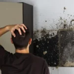 What to Do (and Not Do) When Cleaning Up Smoke Damage After a House Fire