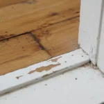How to Fix Water Damage Hardwood Floors