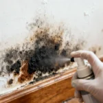 how to get rid of water damage odor