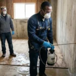 The Importance of Professional Sanitization After Water Damage